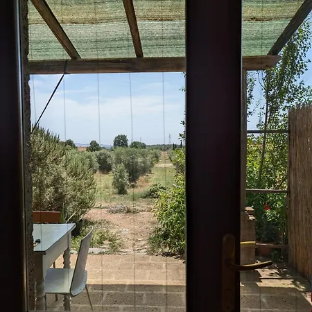 Apartamento Tempio Dell'ulivo, Terme Di Vulci, E Mare