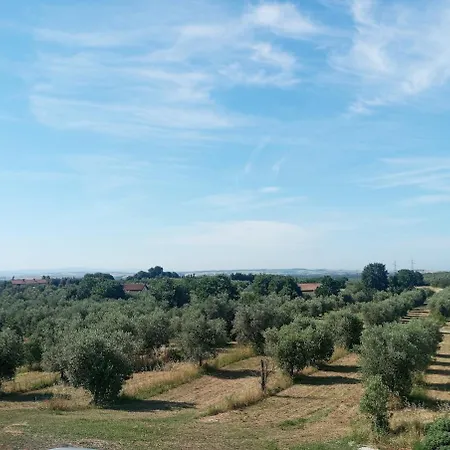 Apartamento Tempio Dell'ulivo, Terme Di Vulci, E Mare Canino