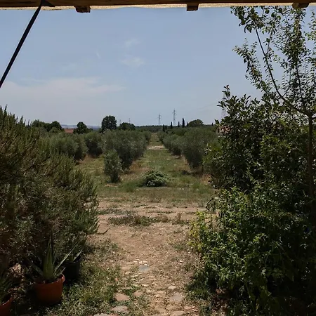 Tempio Dell'ulivo, Terme Di Vulci, E Mare Apartamento Canino