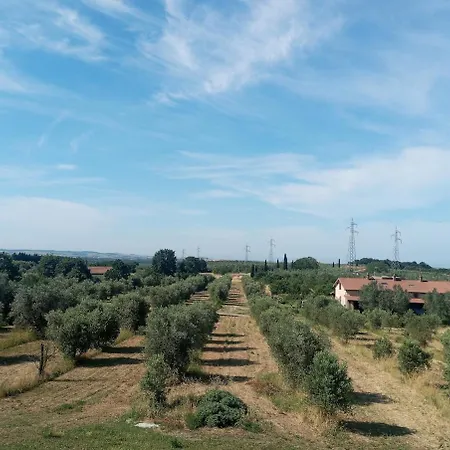Tempio Dell'ulivo, Terme Di Vulci, E Mare *